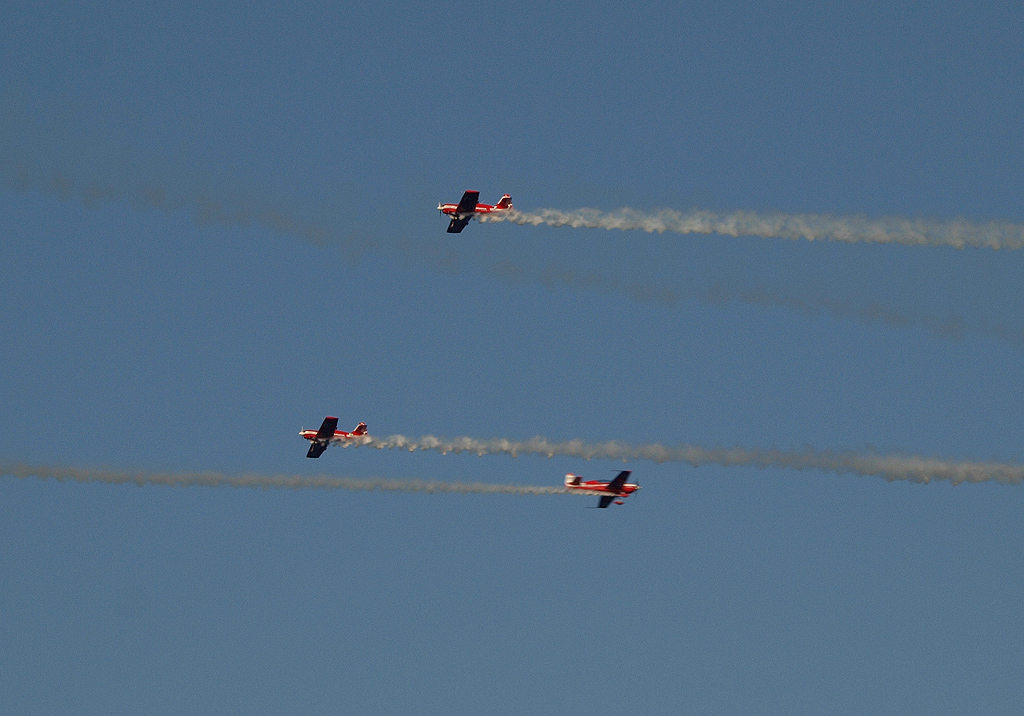 P8116612.jpg