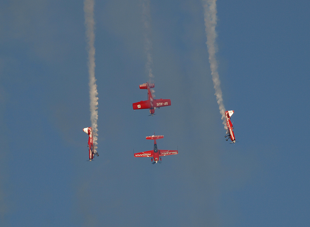 P8116646.jpg