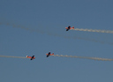 P8116611.jpg