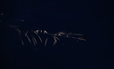 1Z0A7511.jpg