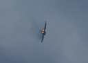 1Z0A3273.jpg