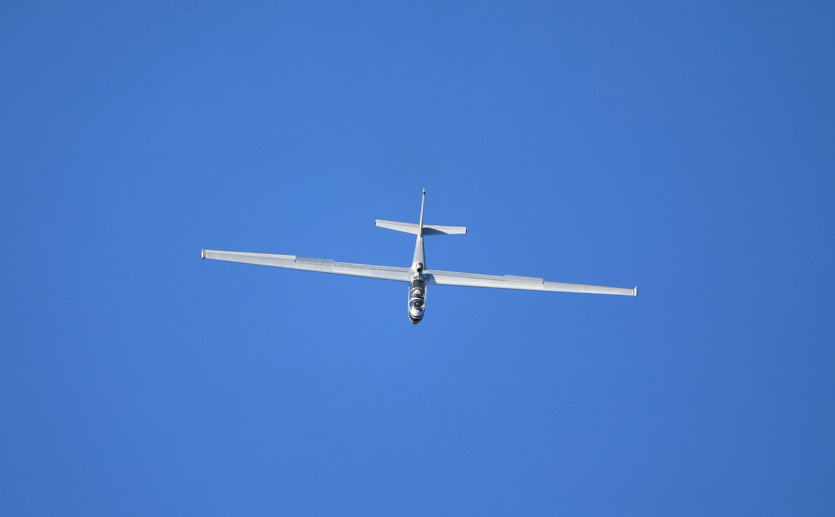 IMGL6614.jpg