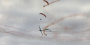JACL8765.jpg