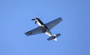 JACL8410.jpg