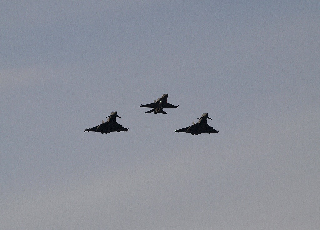 P7089995.jpg