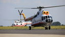 IMGL5687.jpg