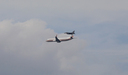 IMGL5829.jpg