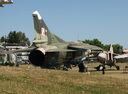 P6091400.jpg