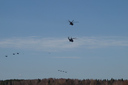 P4266439.jpg
