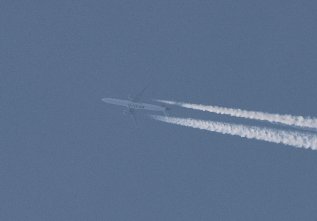 P3136588.jpg