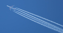 P4255151.jpg