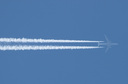 P5299533.jpg